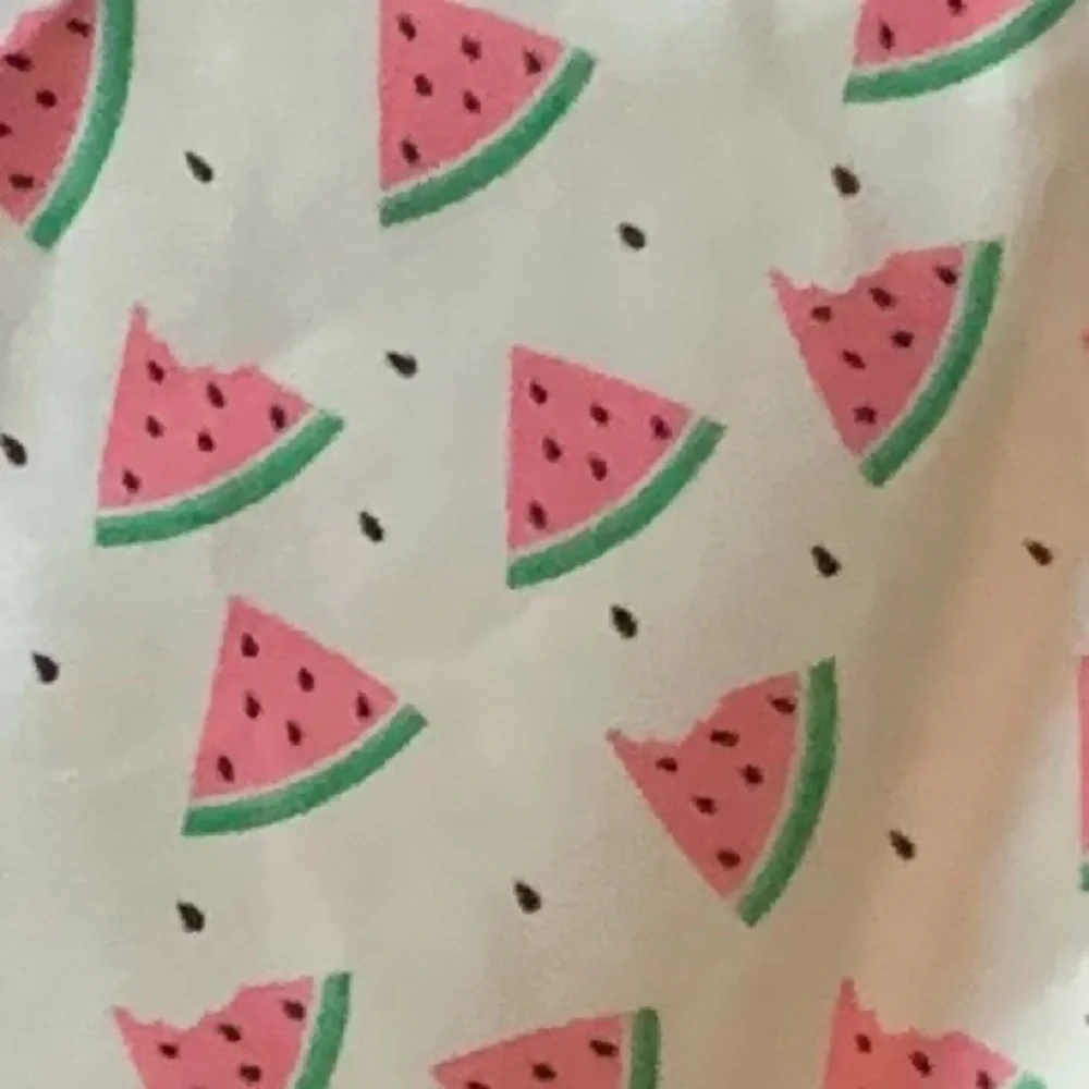 NWOT Pet Bandana - Watermelon Print